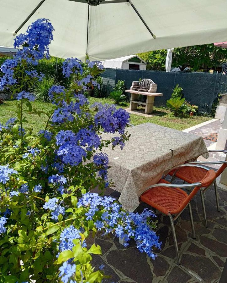Bertos House Tra Mare E Laguna Cavallino-Treporti Exteriér fotografie