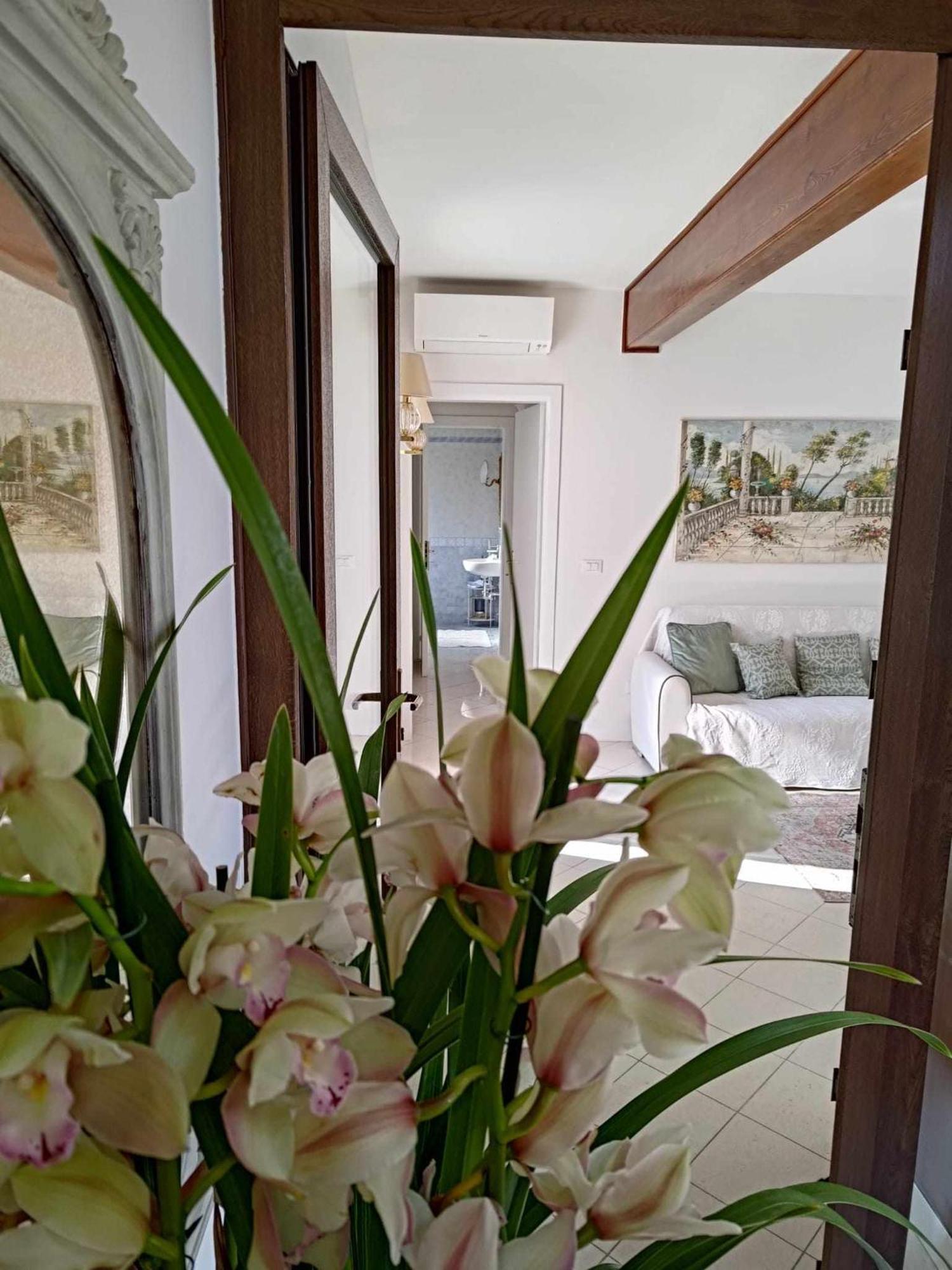 Bertos House Tra Mare E Laguna Cavallino-Treporti Exteriér fotografie